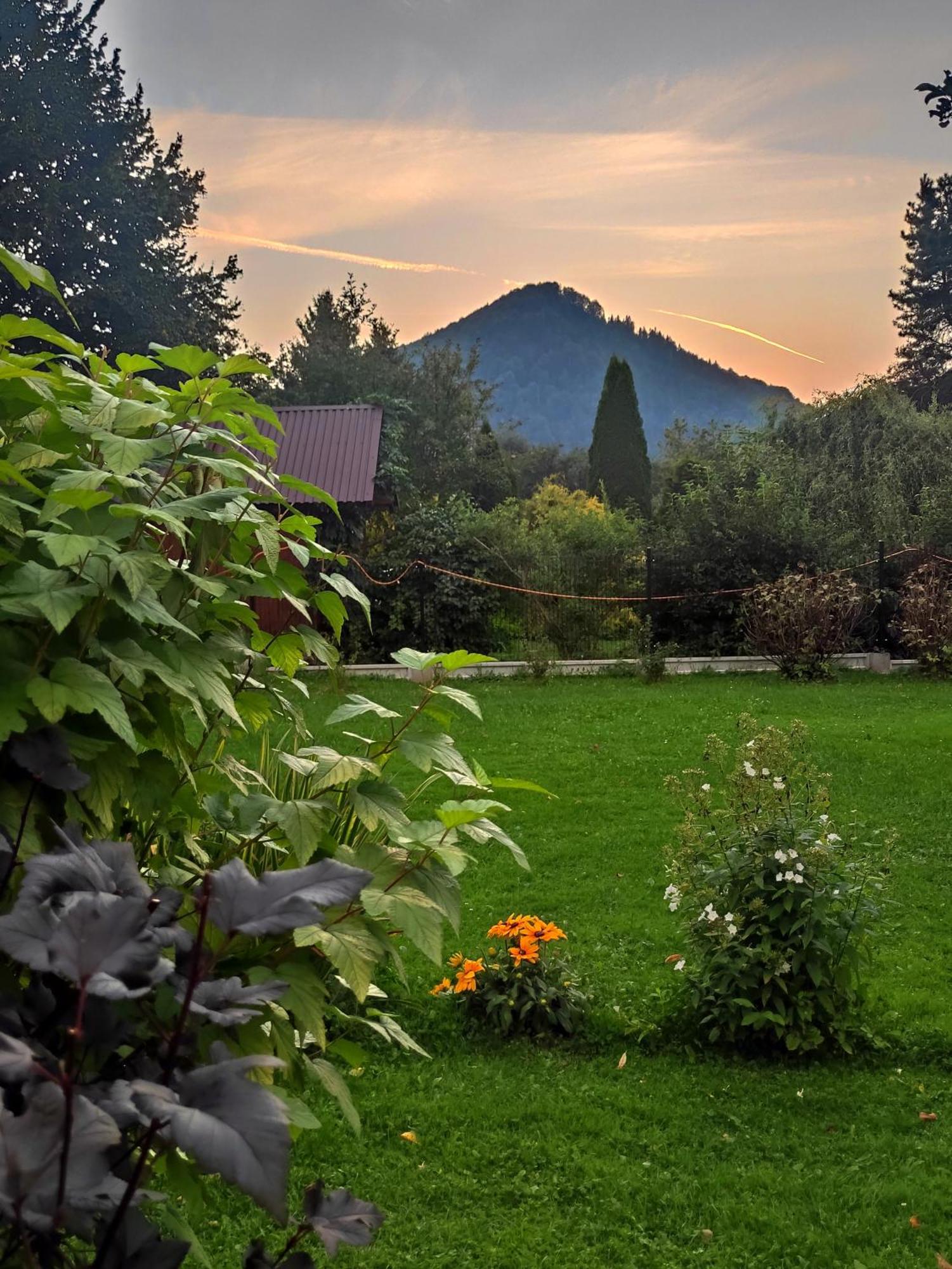 Pokoje I Apartamenty U Sabiny - Dostep Do Jacuzzi Tylko W Wybranych Opcjach Sprawdz Ponizej Szczegoly Rezerwacji Szczawnica Buitenkant foto